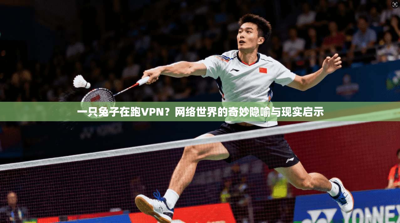 一只兔子在跑VPN？网络世界的奇妙隐喻与现实启示