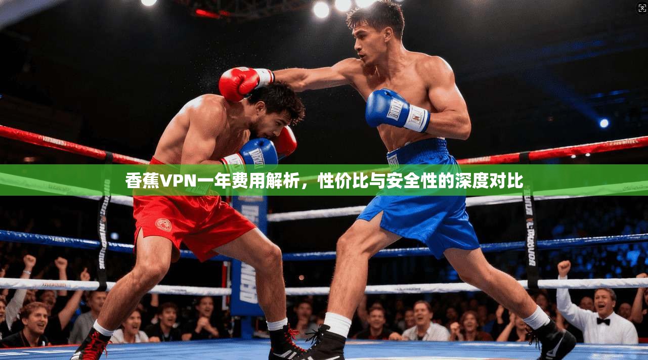 香蕉VPN一年费用解析，性价比与安全性的深度对比