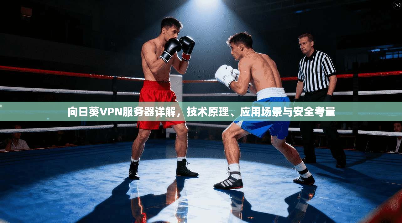 向日葵VPN服务器详解，技术原理、应用场景与安全考量
