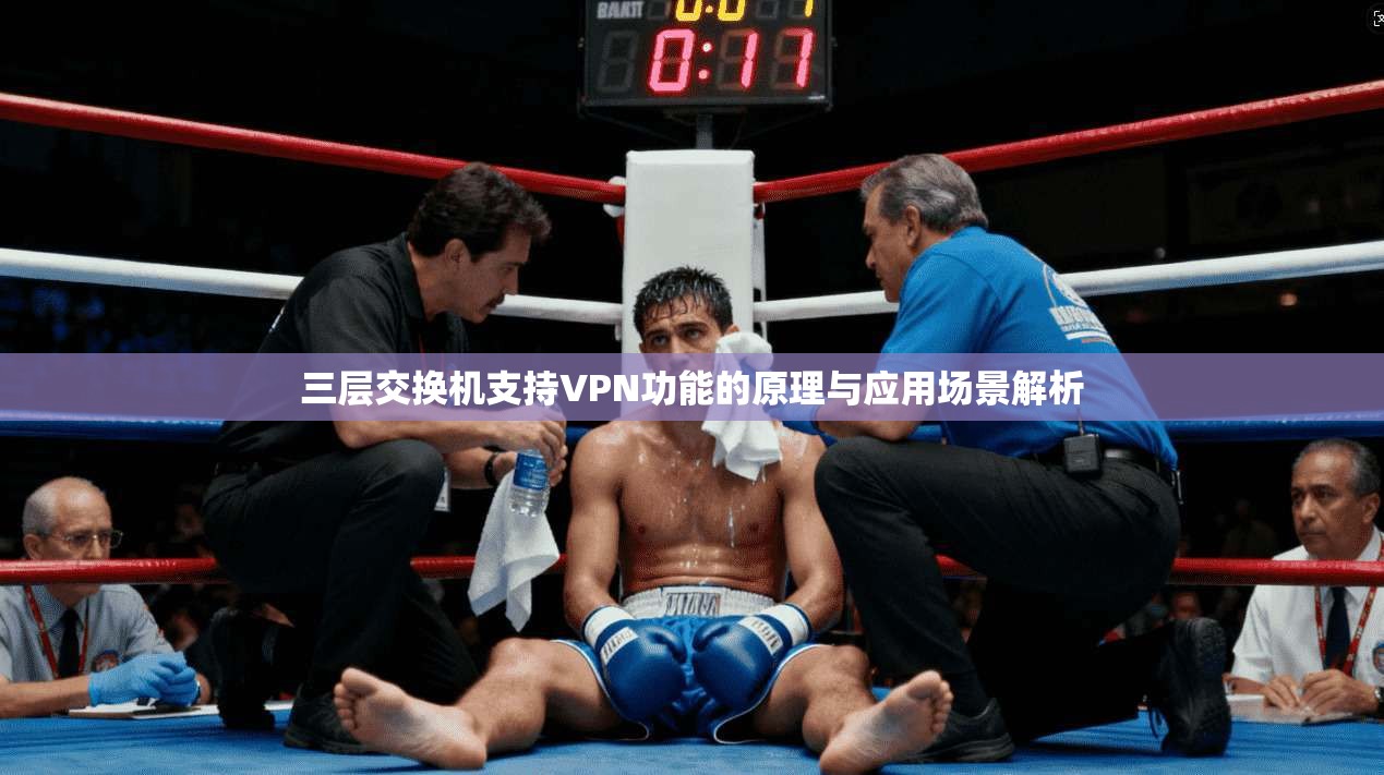三层交换机支持VPN功能的原理与应用场景解析