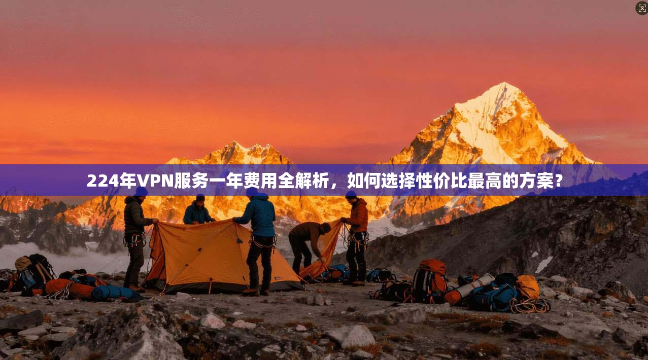 224年VPN服务一年费用全解析，如何选择性价比最高的方案？