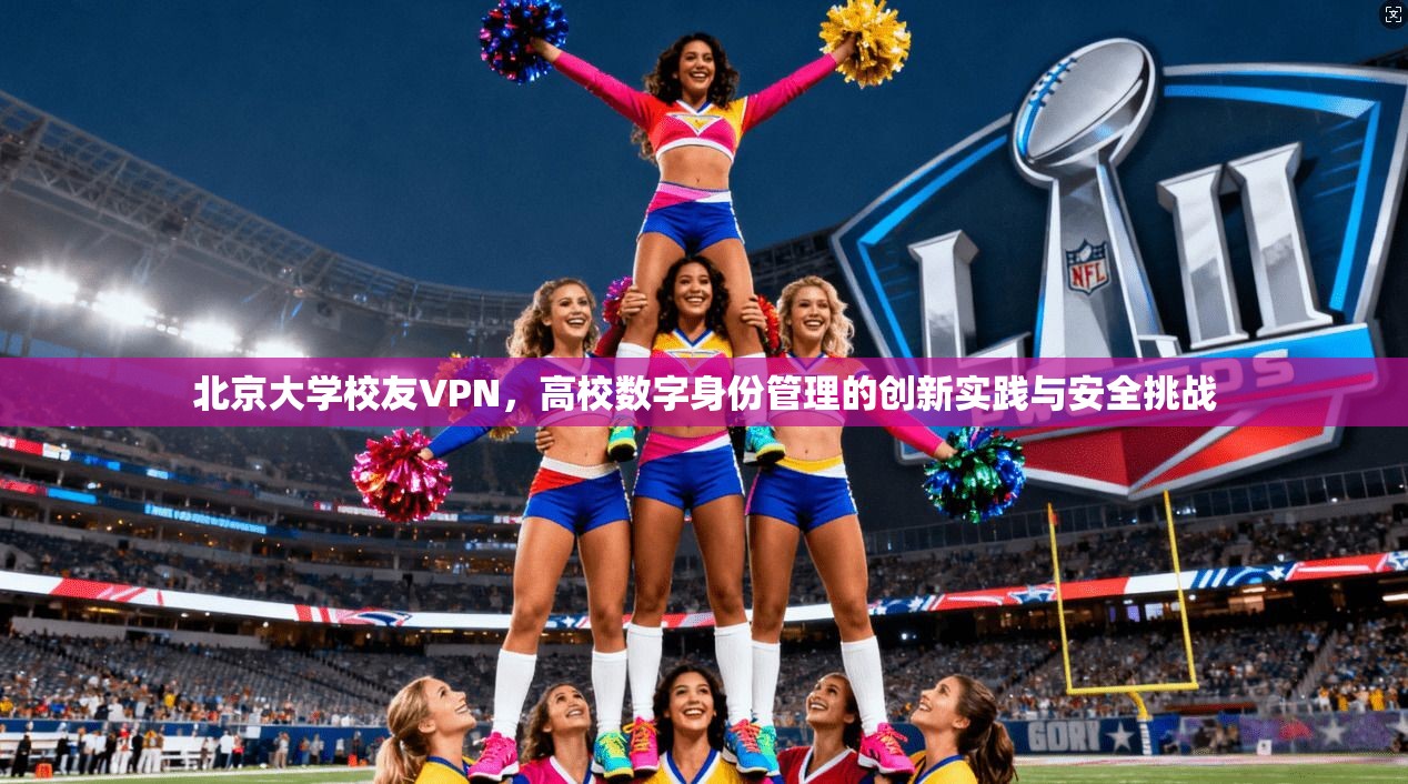 北京大学校友VPN，高校数字身份管理的创新实践与安全挑战