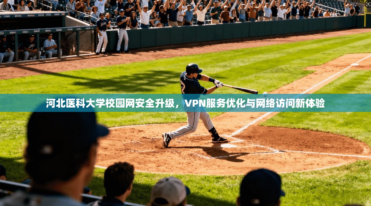 河北医科大学校园网安全升级，VPN服务优化与网络访问新体验