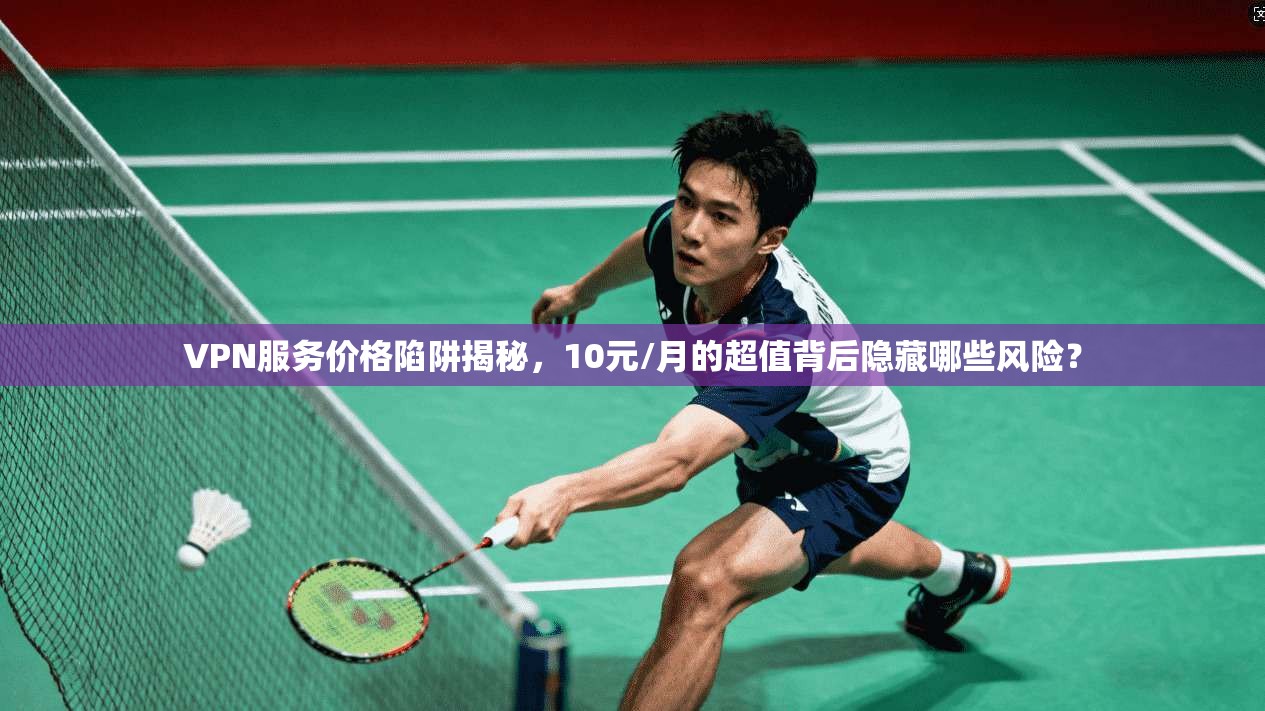 VPN服务价格陷阱揭秘，10元/月的超值背后隐藏哪些风险？