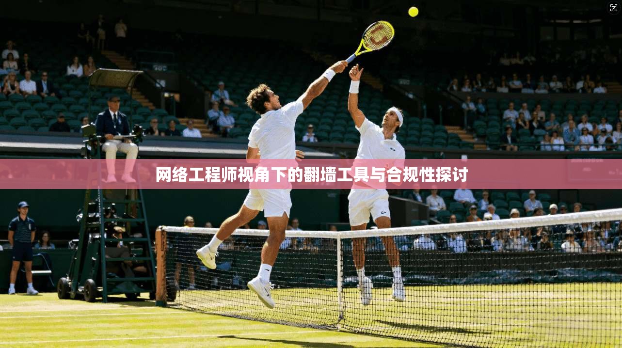 网络工程师视角下的翻墙工具与合规性探讨