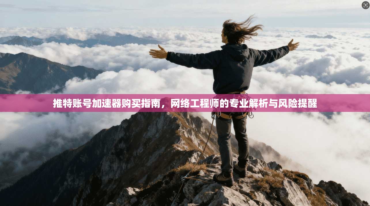 推特账号加速器购买指南，网络工程师的专业解析与风险提醒