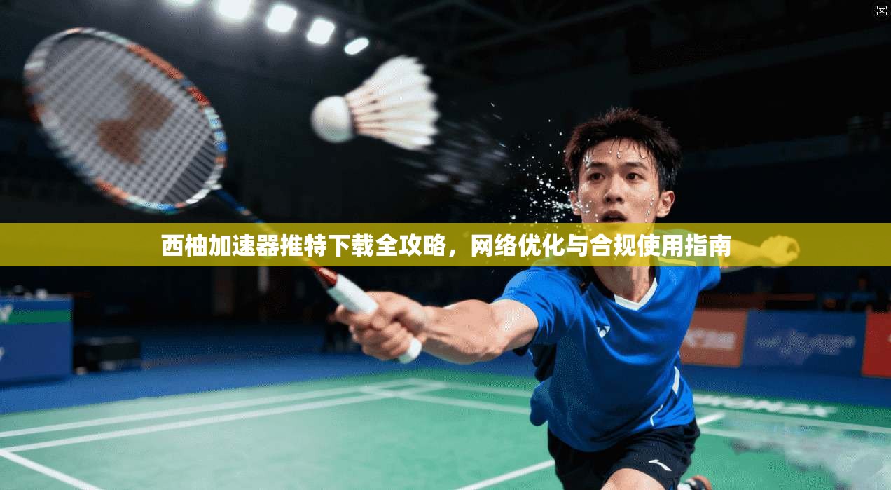 西柚加速器推特下载全攻略，网络优化与合规使用指南