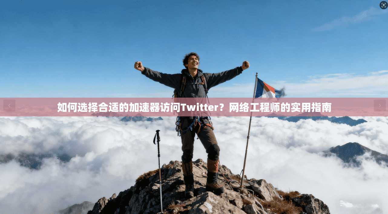 如何选择合适的加速器访问Twitter？网络工程师的实用指南