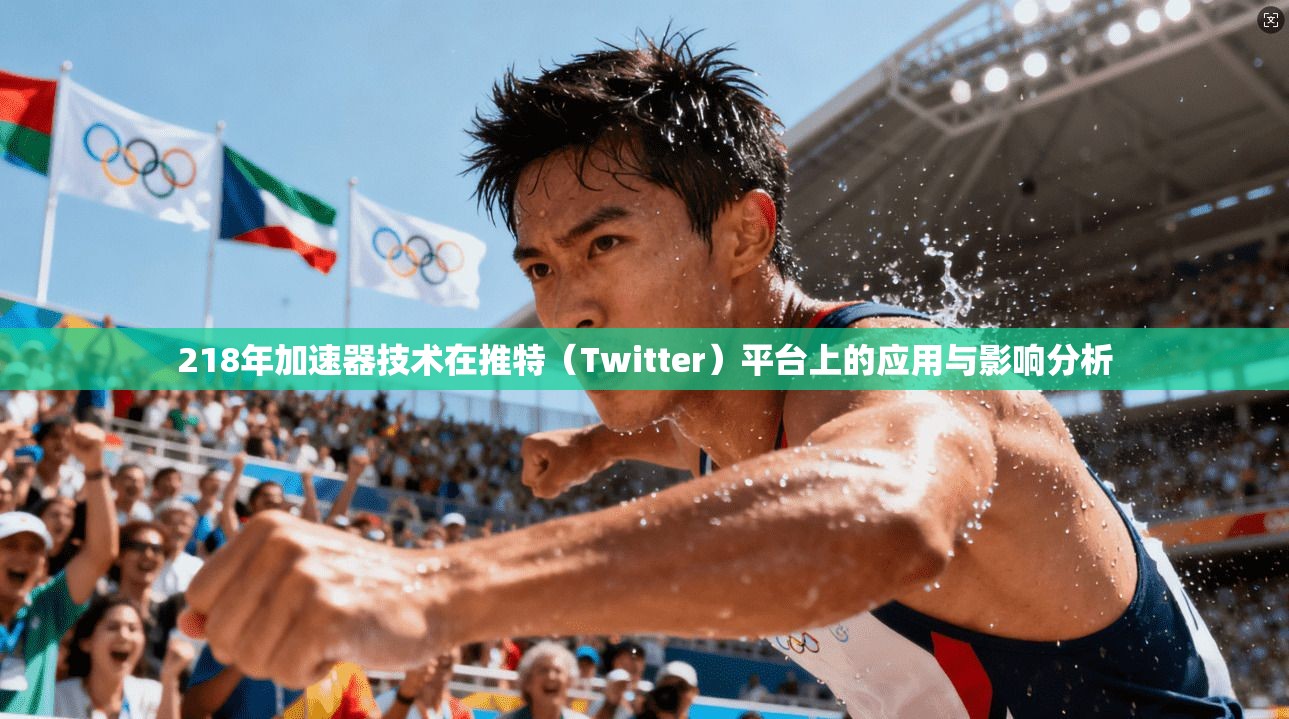 218年加速器技术在推特（Twitter）平台上的应用与影响分析