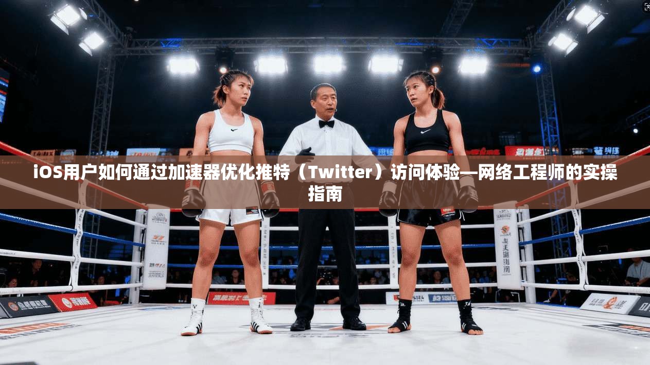 iOS用户如何通过加速器优化推特（Twitter）访问体验—网络工程师的实操指南