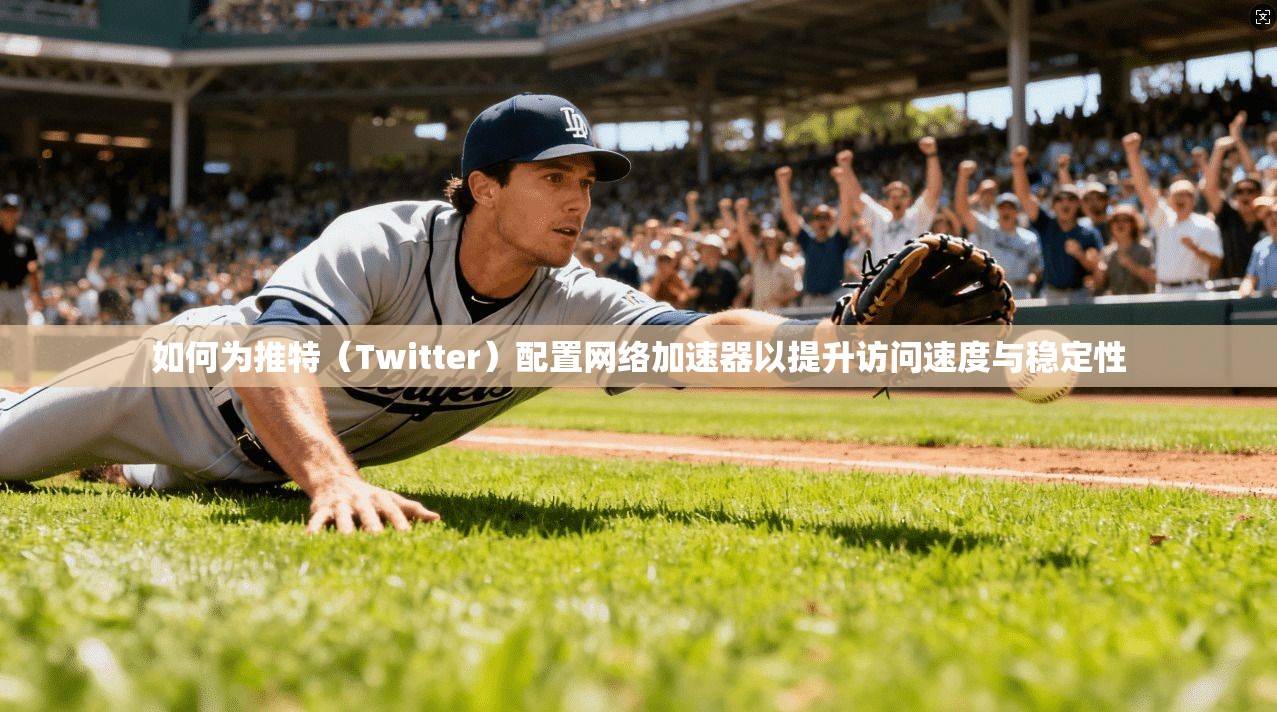 如何为推特（Twitter）配置网络加速器以提升访问速度与稳定性
