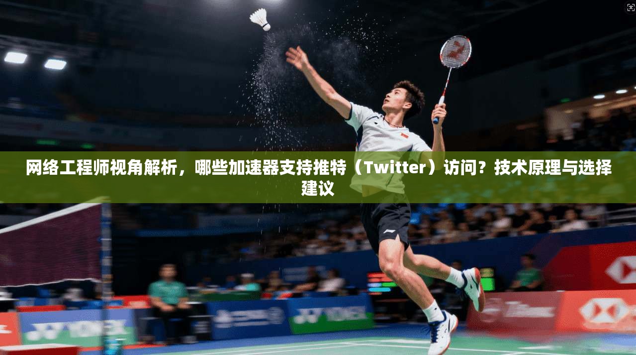 网络工程师视角解析，哪些加速器支持推特（Twitter）访问？技术原理与选择建议