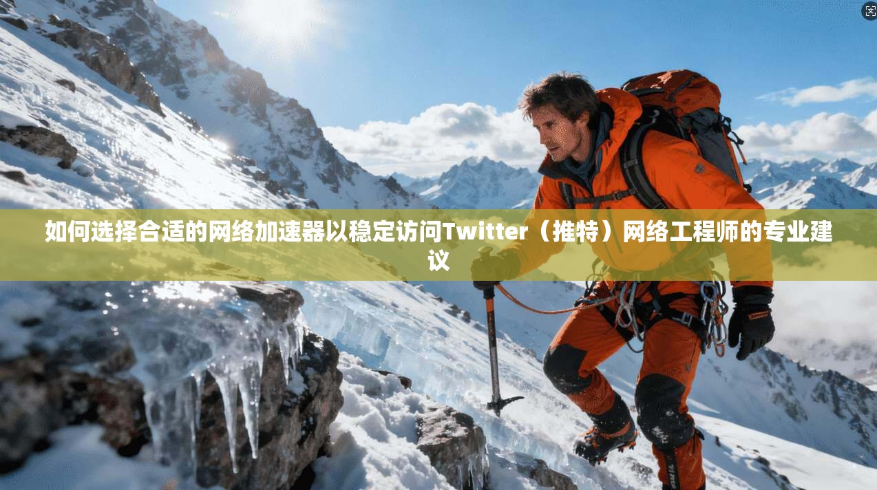 如何选择合适的网络加速器以稳定访问Twitter（推特）网络工程师的专业建议