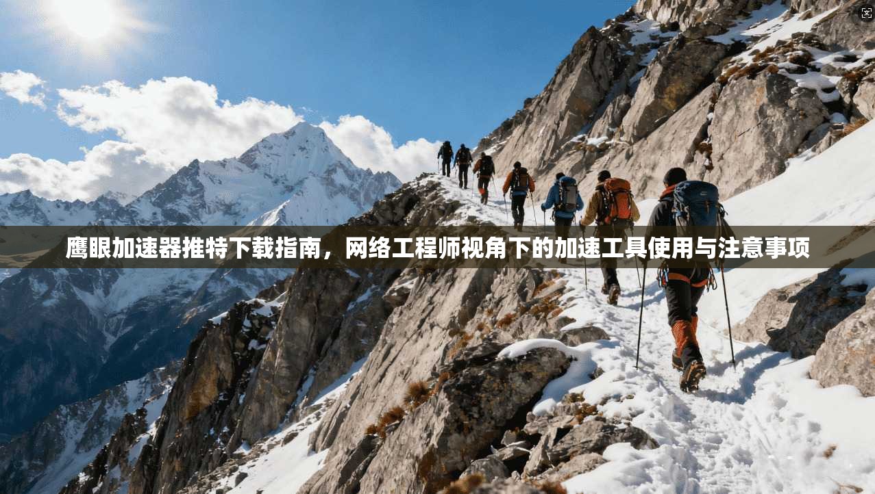 鹰眼加速器推特下载指南，网络工程师视角下的加速工具使用与注意事项