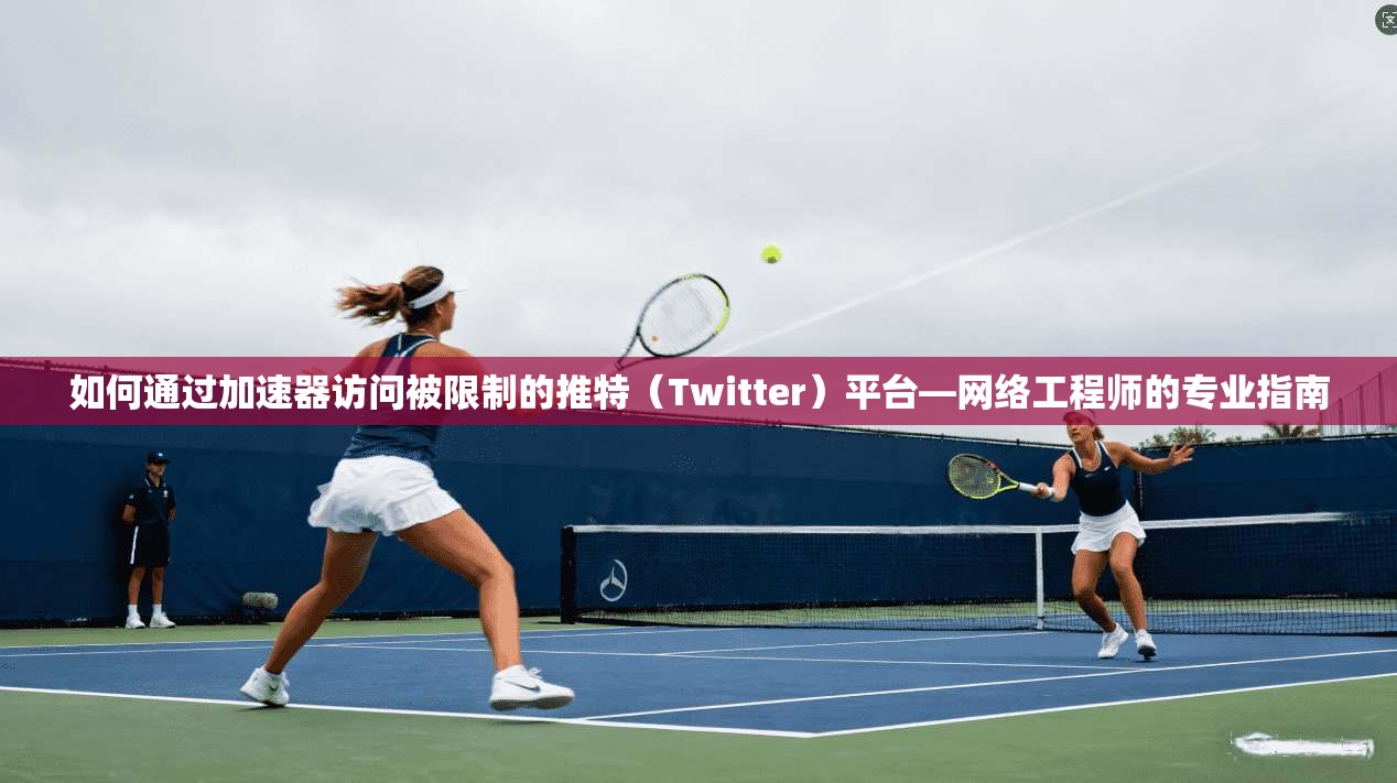 如何通过加速器访问被限制的推特（Twitter）平台—网络工程师的专业指南