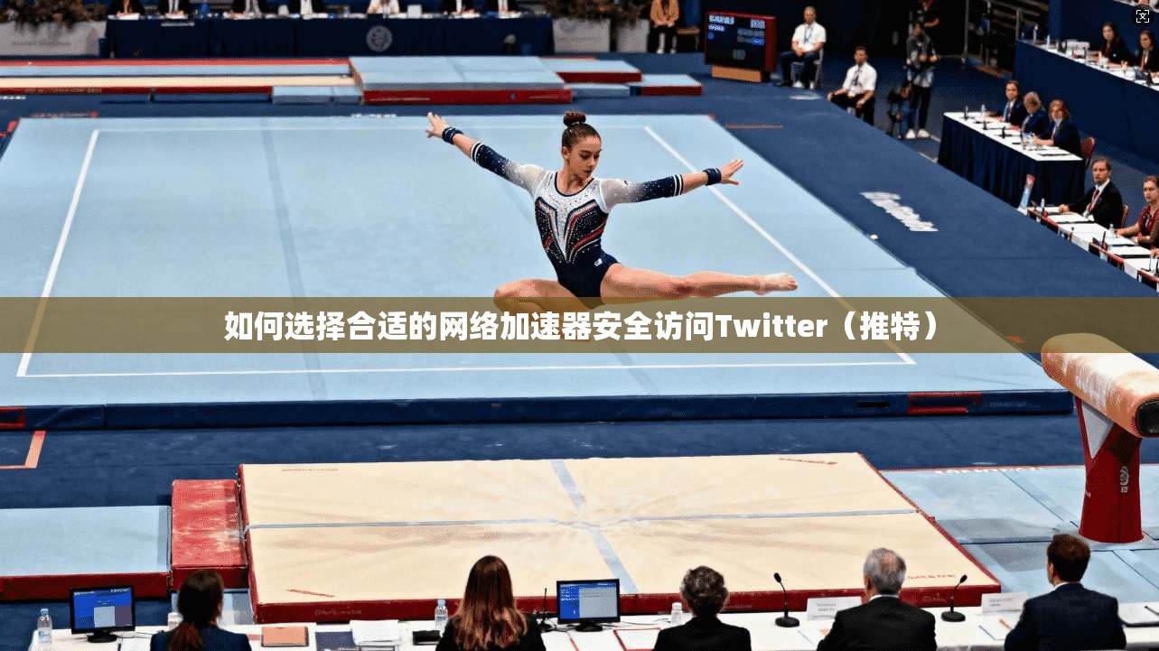 如何选择合适的网络加速器安全访问Twitter（推特）