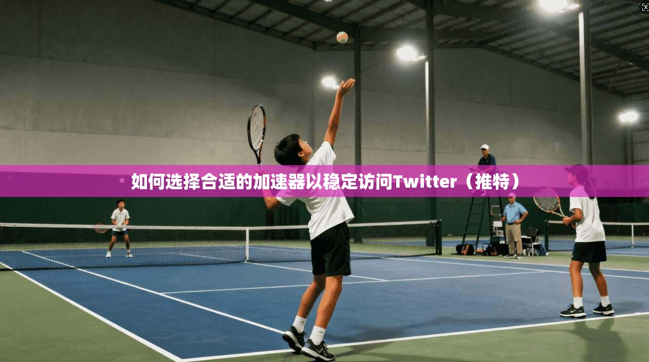 如何选择合适的加速器以稳定访问Twitter（推特）