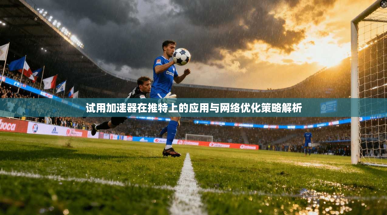试用加速器在推特上的应用与网络优化策略解析