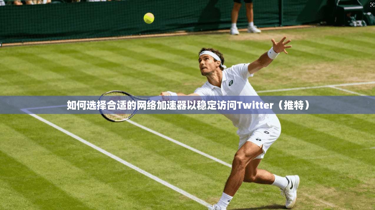 如何选择合适的网络加速器以稳定访问Twitter（推特）