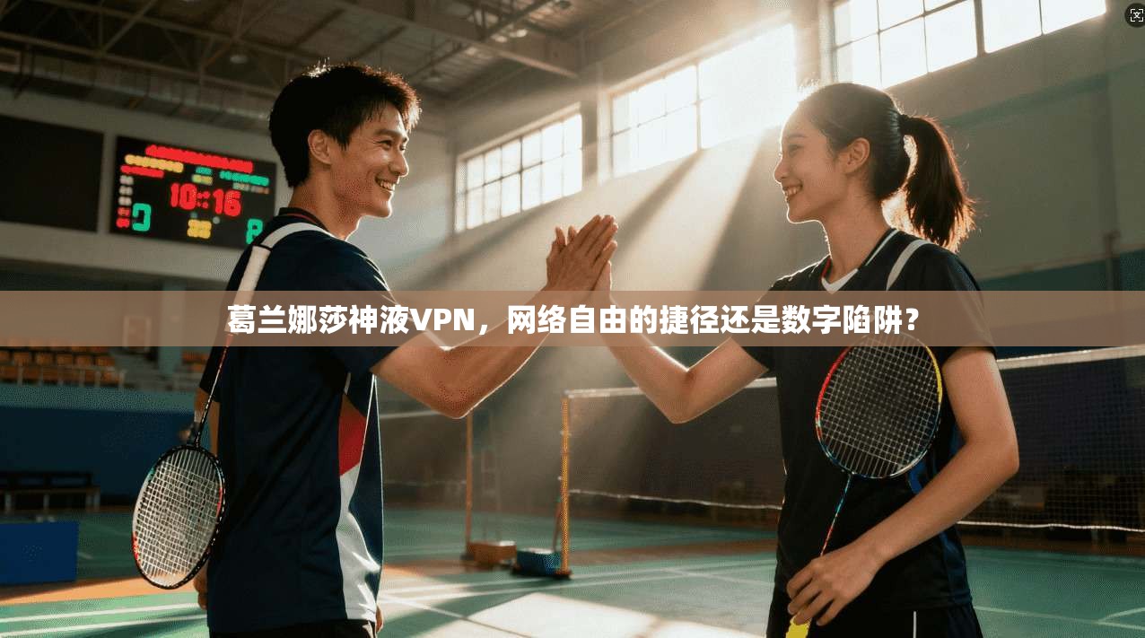葛兰娜莎神液VPN，网络自由的捷径还是数字陷阱？