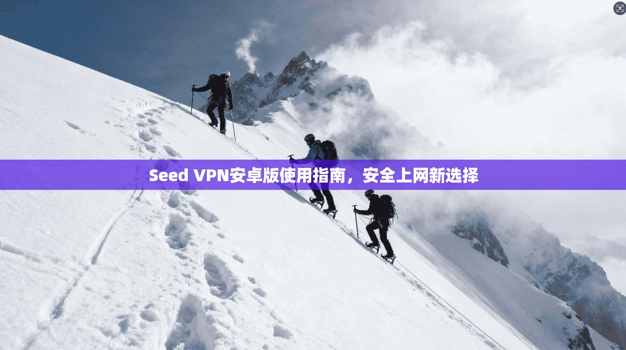 Seed VPN安卓版使用指南，安全上网新选择