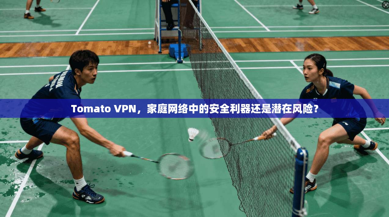 Tomato VPN，家庭网络中的安全利器还是潜在风险？