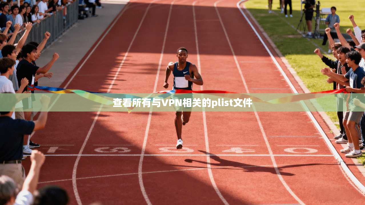 查看所有与VPN相关的plist文件