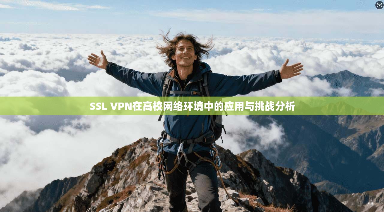SSL VPN在高校网络环境中的应用与挑战分析