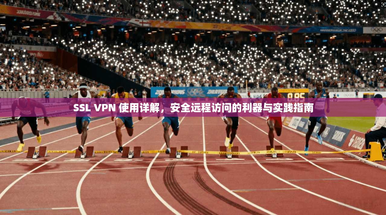 SSL VPN 使用详解，安全远程访问的利器与实践指南