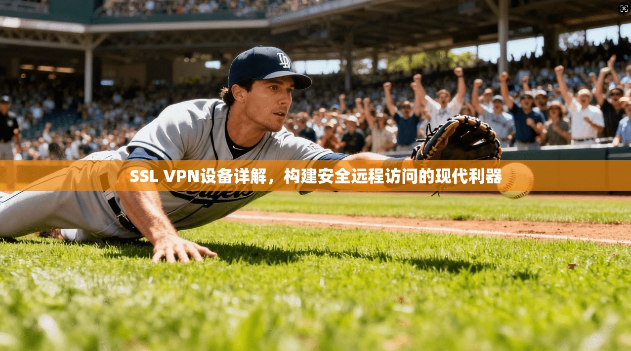 SSL VPN设备详解，构建安全远程访问的现代利器
