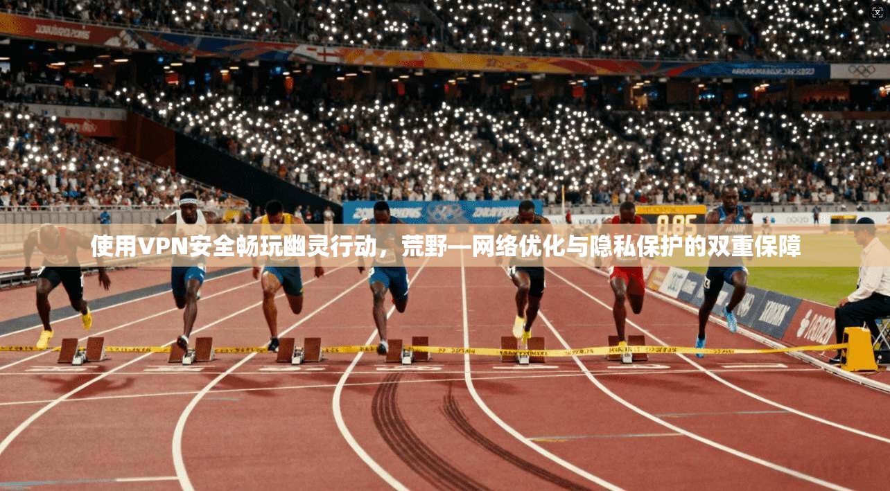 使用VPN安全畅玩幽灵行动，荒野—网络优化与隐私保护的双重保障