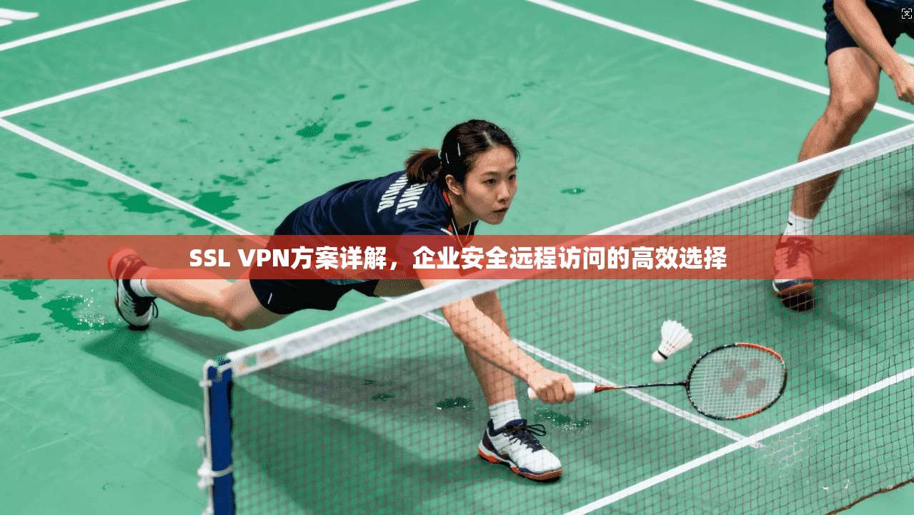 SSL VPN方案详解，企业安全远程访问的高效选择