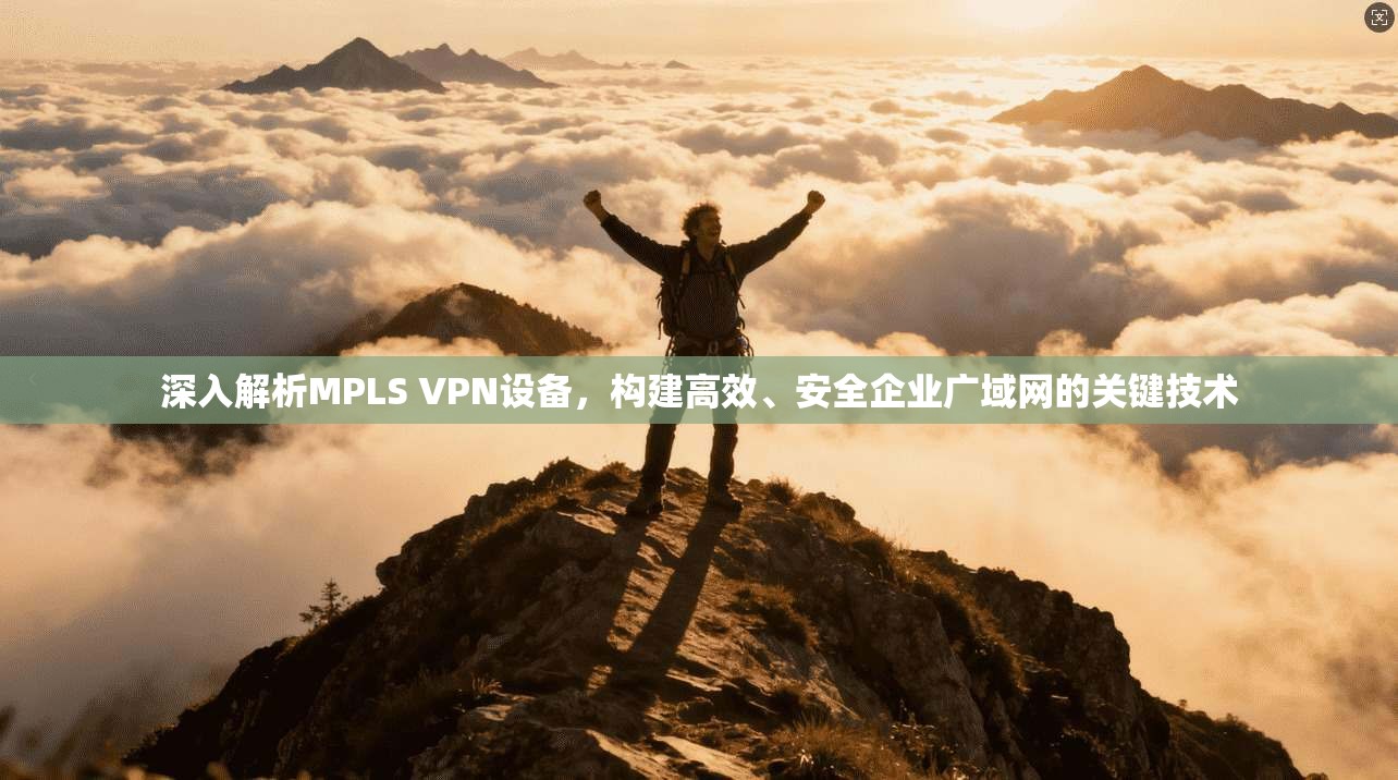 深入解析MPLS VPN设备，构建高效、安全企业广域网的关键技术