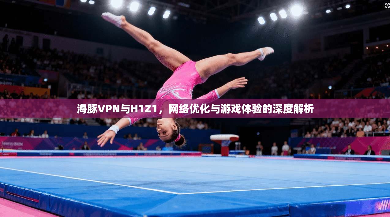 海豚VPN与H1Z1，网络优化与游戏体验的深度解析