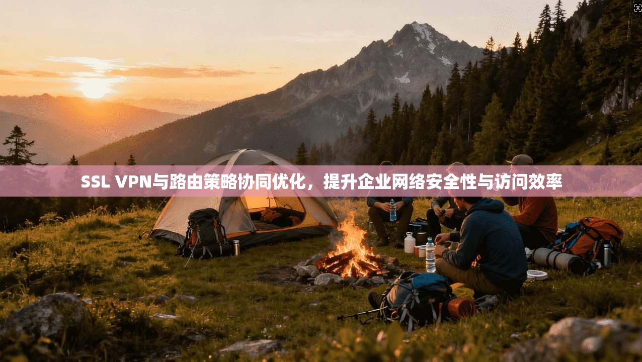 SSL VPN与路由策略协同优化，提升企业网络安全性与访问效率