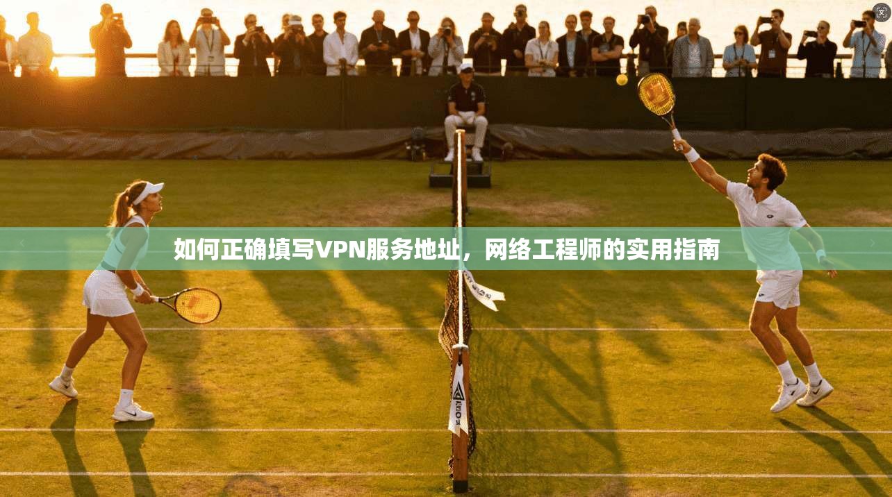 如何正确填写VPN服务地址，网络工程师的实用指南