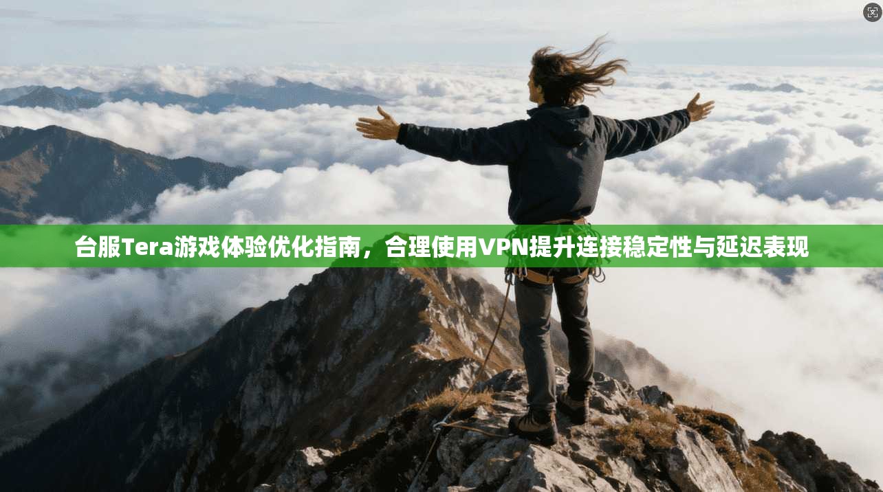 台服Tera游戏体验优化指南，合理使用VPN提升连接稳定性与延迟表现