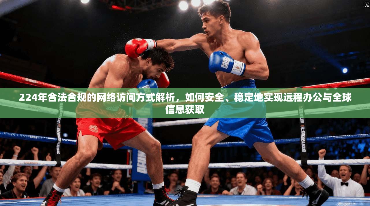 224年合法合规的网络访问方式解析，如何安全、稳定地实现远程办公与全球信息获取
