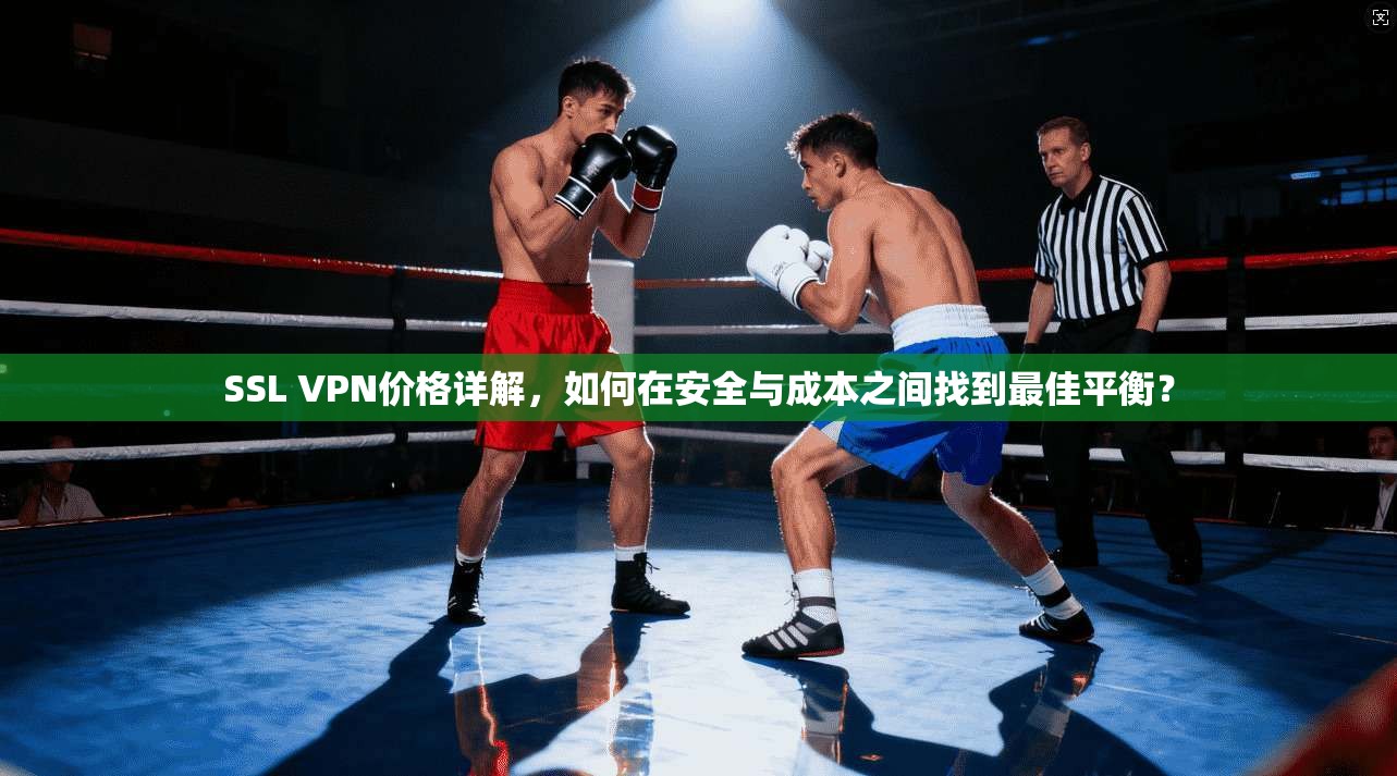 SSL VPN价格详解，如何在安全与成本之间找到最佳平衡？
