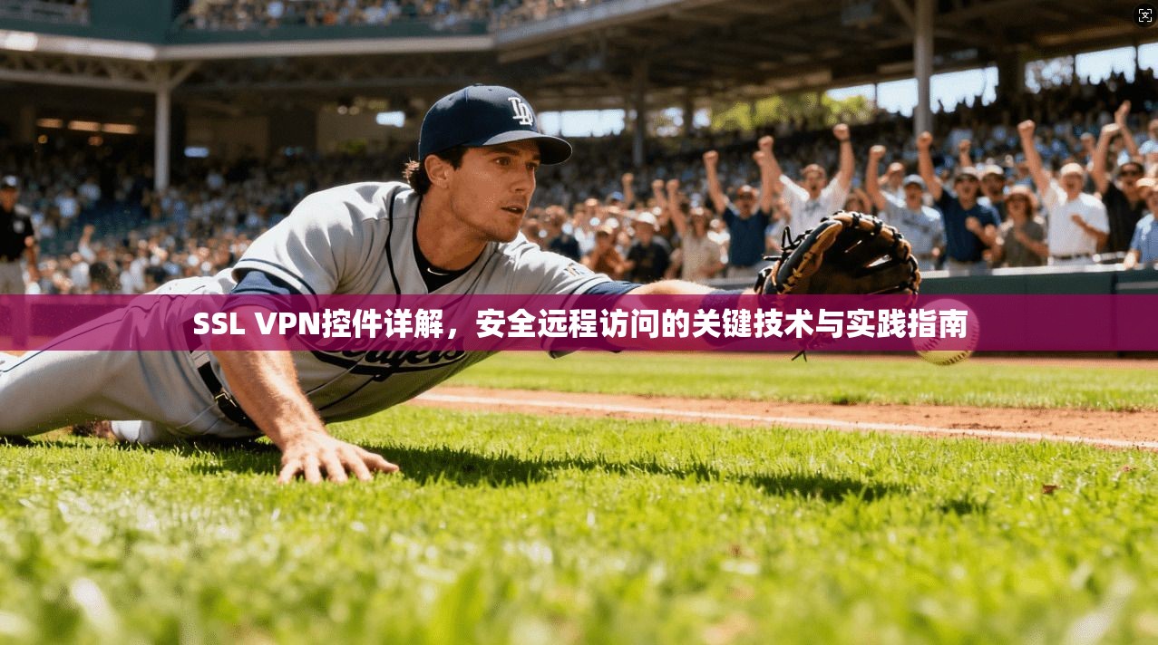 SSL VPN控件详解，安全远程访问的关键技术与实践指南