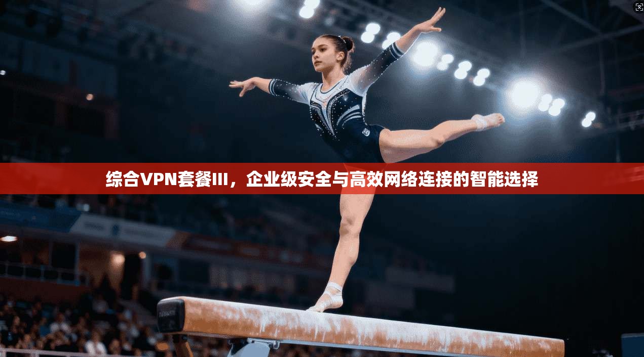 综合VPN套餐III，企业级安全与高效网络连接的智能选择