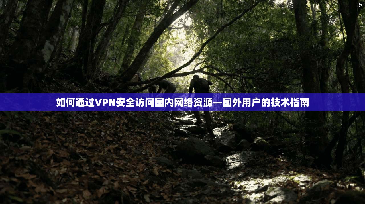 如何通过VPN安全访问国内网络资源—国外用户的技术指南
