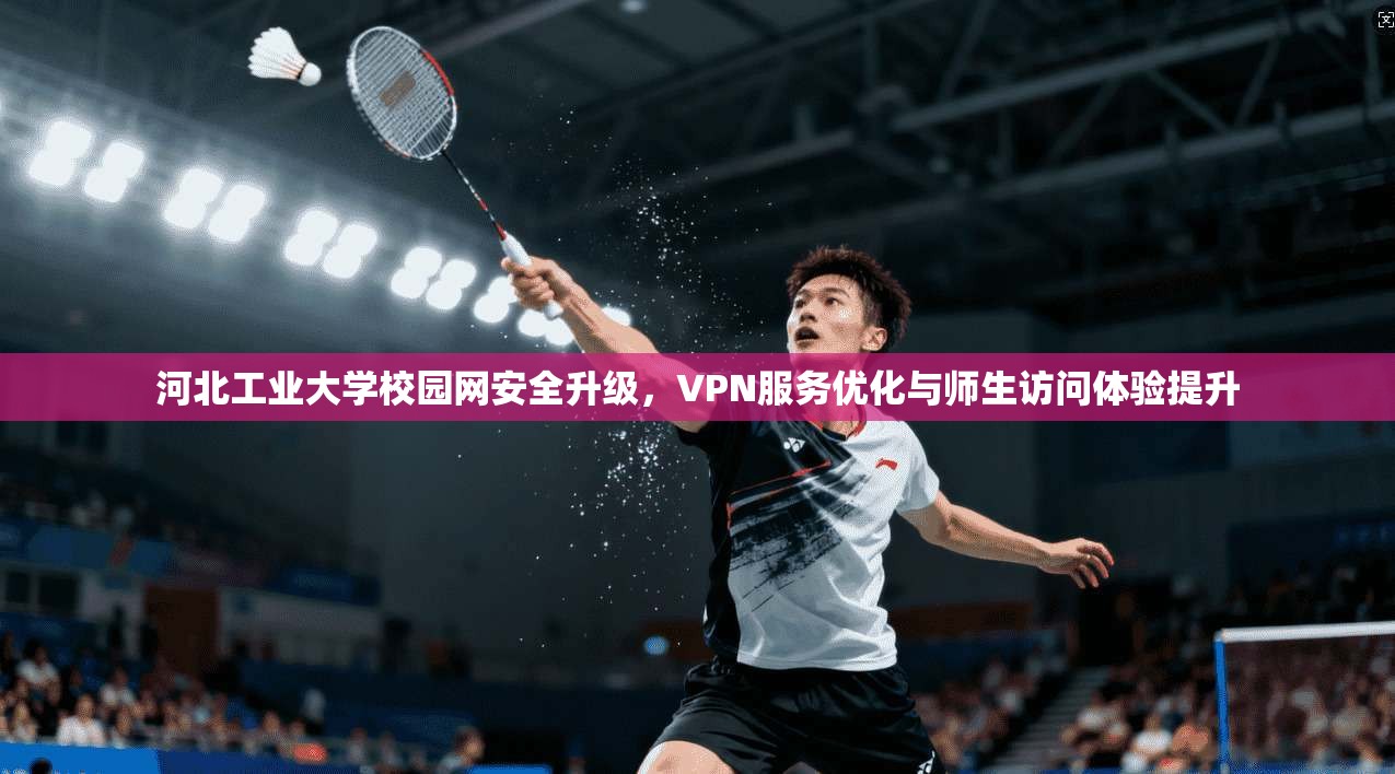 河北工业大学校园网安全升级，VPN服务优化与师生访问体验提升