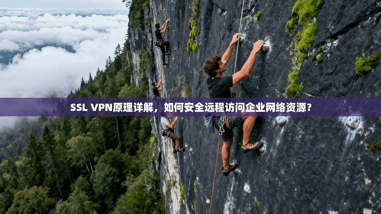 SSL VPN原理详解，如何安全远程访问企业网络资源？