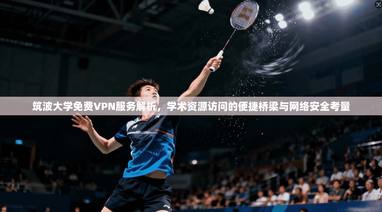 筑波大学免费VPN服务解析，学术资源访问的便捷桥梁与网络安全考量