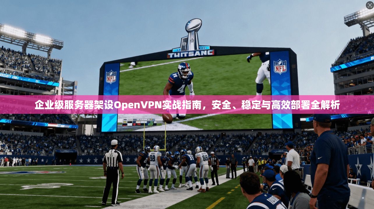 企业级服务器架设OpenVPN实战指南，安全、稳定与高效部署全解析