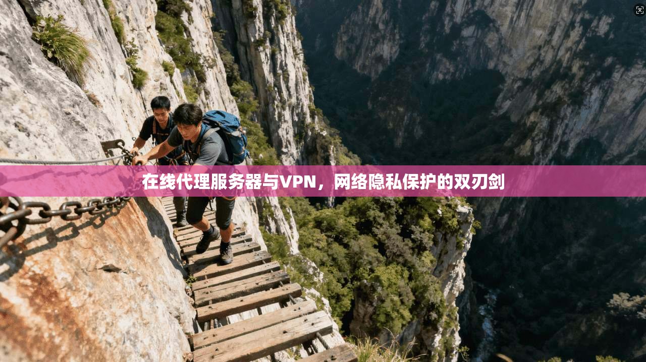 在线代理服务器与VPN，网络隐私保护的双刃剑