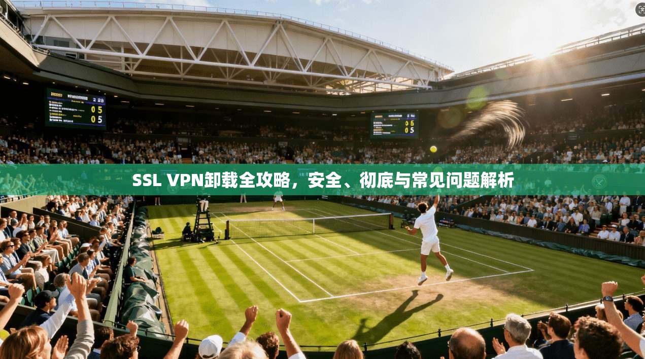 SSL VPN卸载全攻略，安全、彻底与常见问题解析