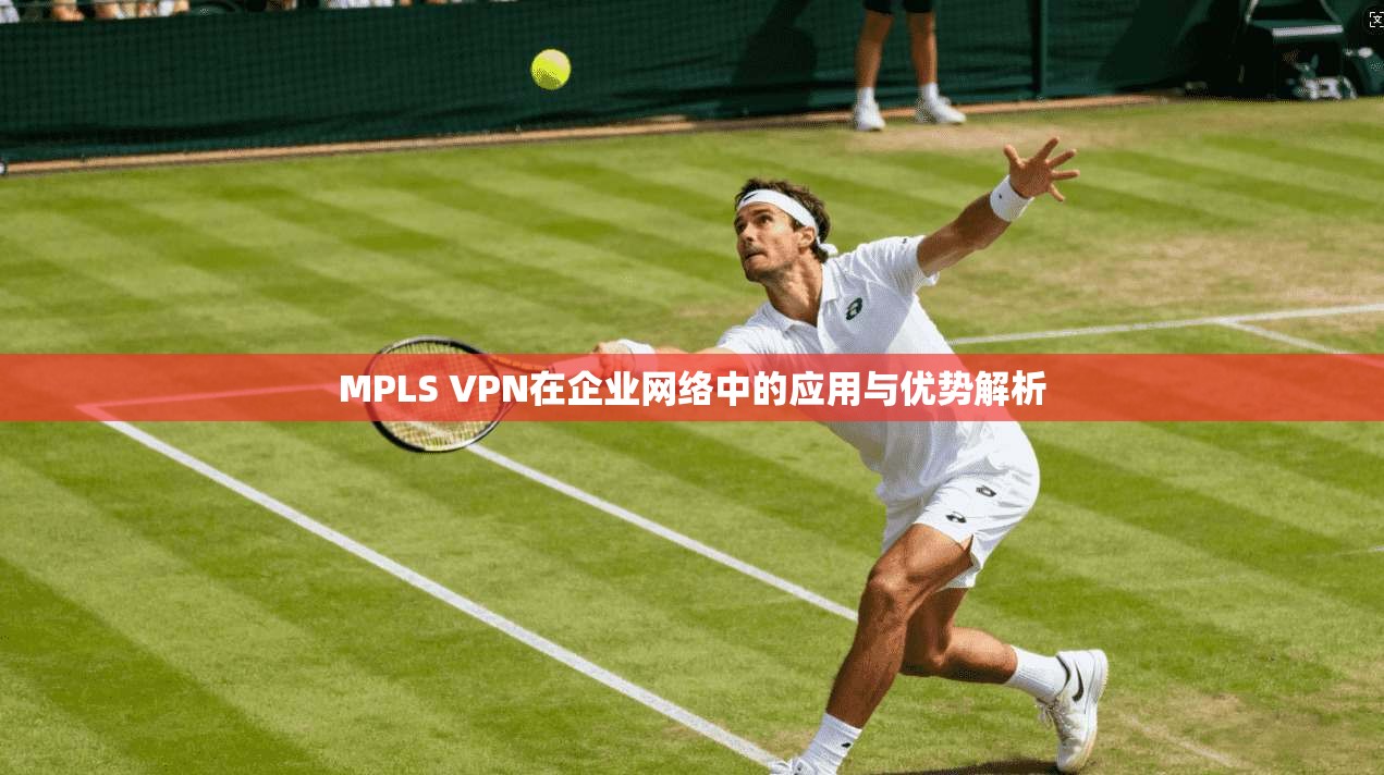 MPLS VPN在企业网络中的应用与优势解析