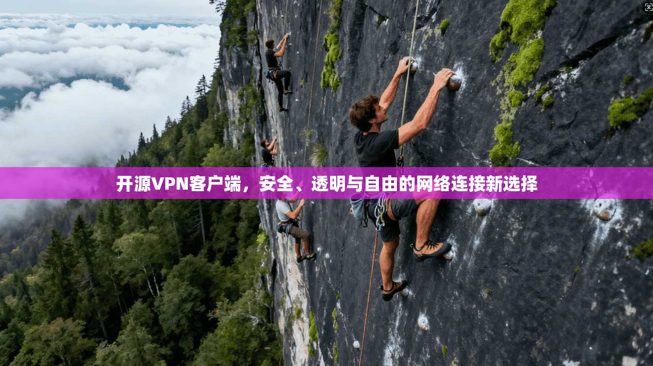 开源VPN客户端，安全、透明与自由的网络连接新选择